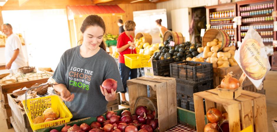 Farmers Market