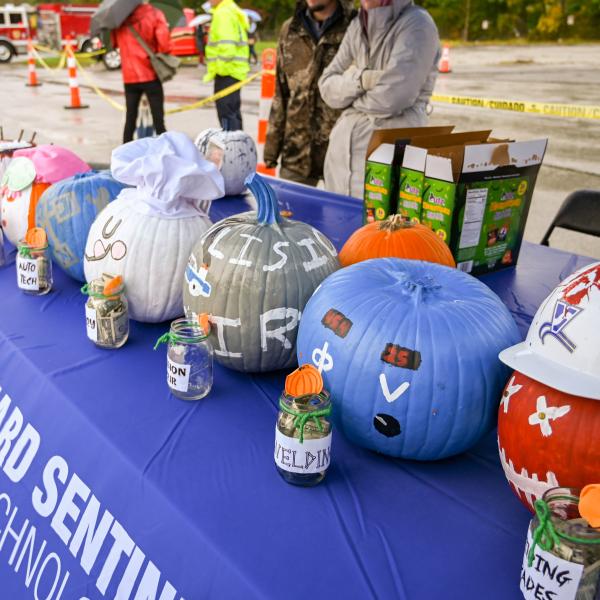 pumpkins for pumpkin drop